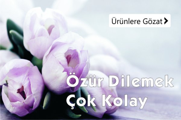Özür Dileme Çiçekleri - Kütahya Çiçek Siparişi