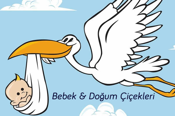 Bebek ve Doğum Çiçekleri